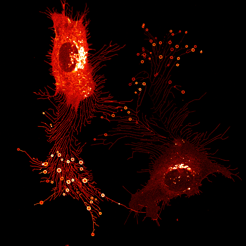 20190822-1.png 20190822-1.png